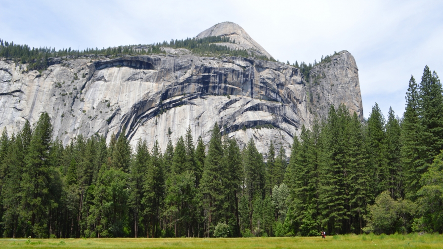 Yosemite green forest and mountains
